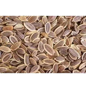 Natural Dill Seeds